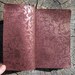 Society of Sinister Simians Limited Edition Book
