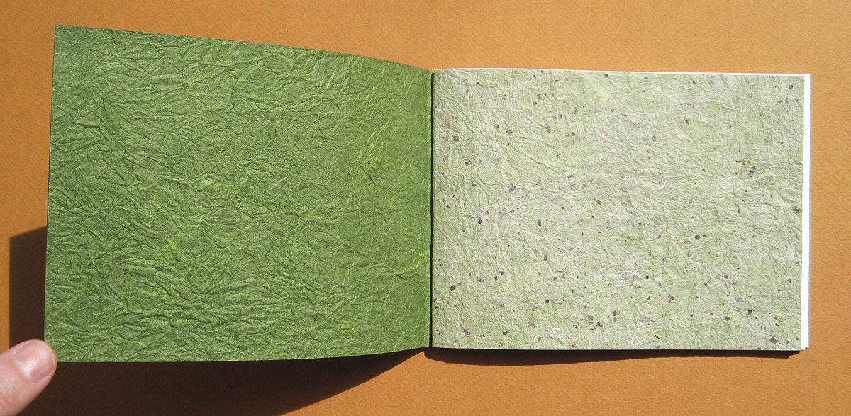 Monkopolis Limited Edition Book