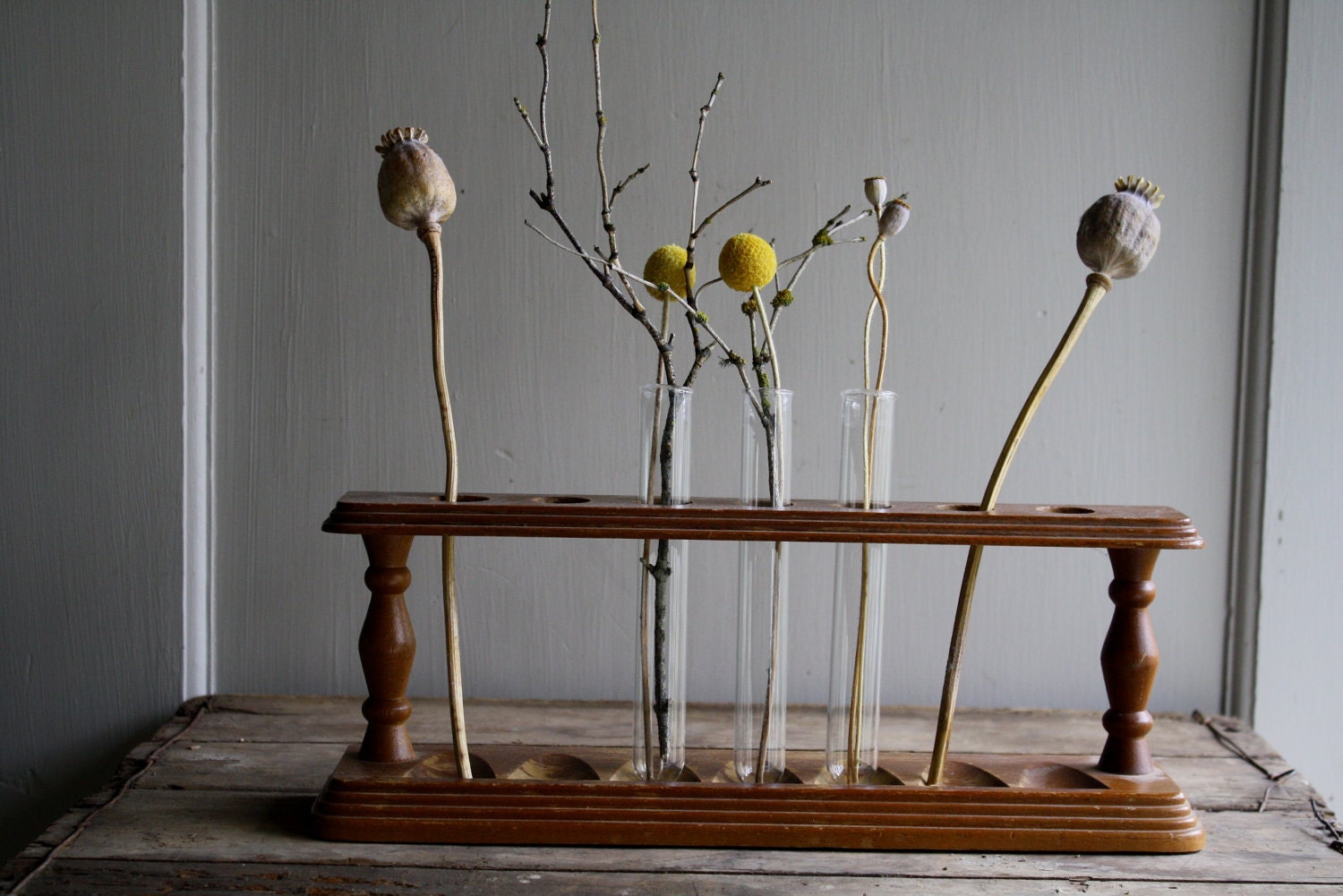vintage wooden rack with test tubes