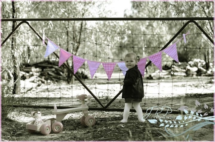 Bunting / Flags / Pennant Strings - Cotton Candy