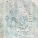 Do Not Worry, Hand Drawn Bird Illustration, Scripture Art Print (8x10)