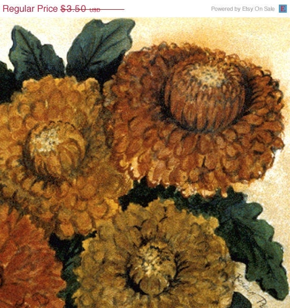ETSYVERSARY SALE ZINNIAS blank fine art note card