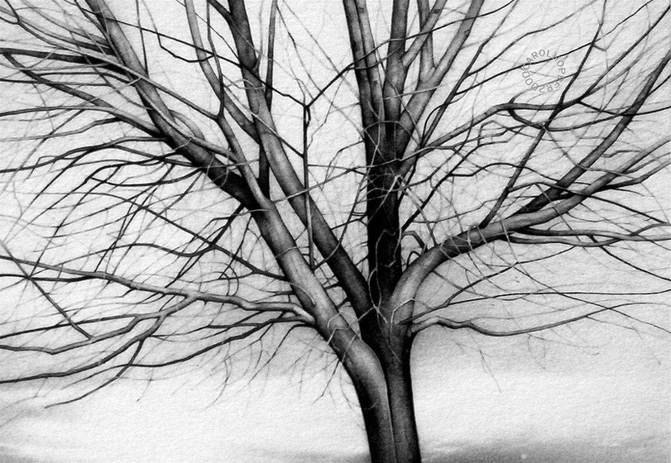 Bare Bones - Pencil Drawing
