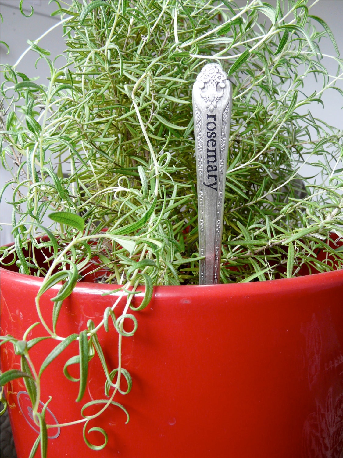 Herb Plant Stakes - Set of 5, Antique Silver Knives, Rosemary, Sage, Thyme, Basil, Oregano