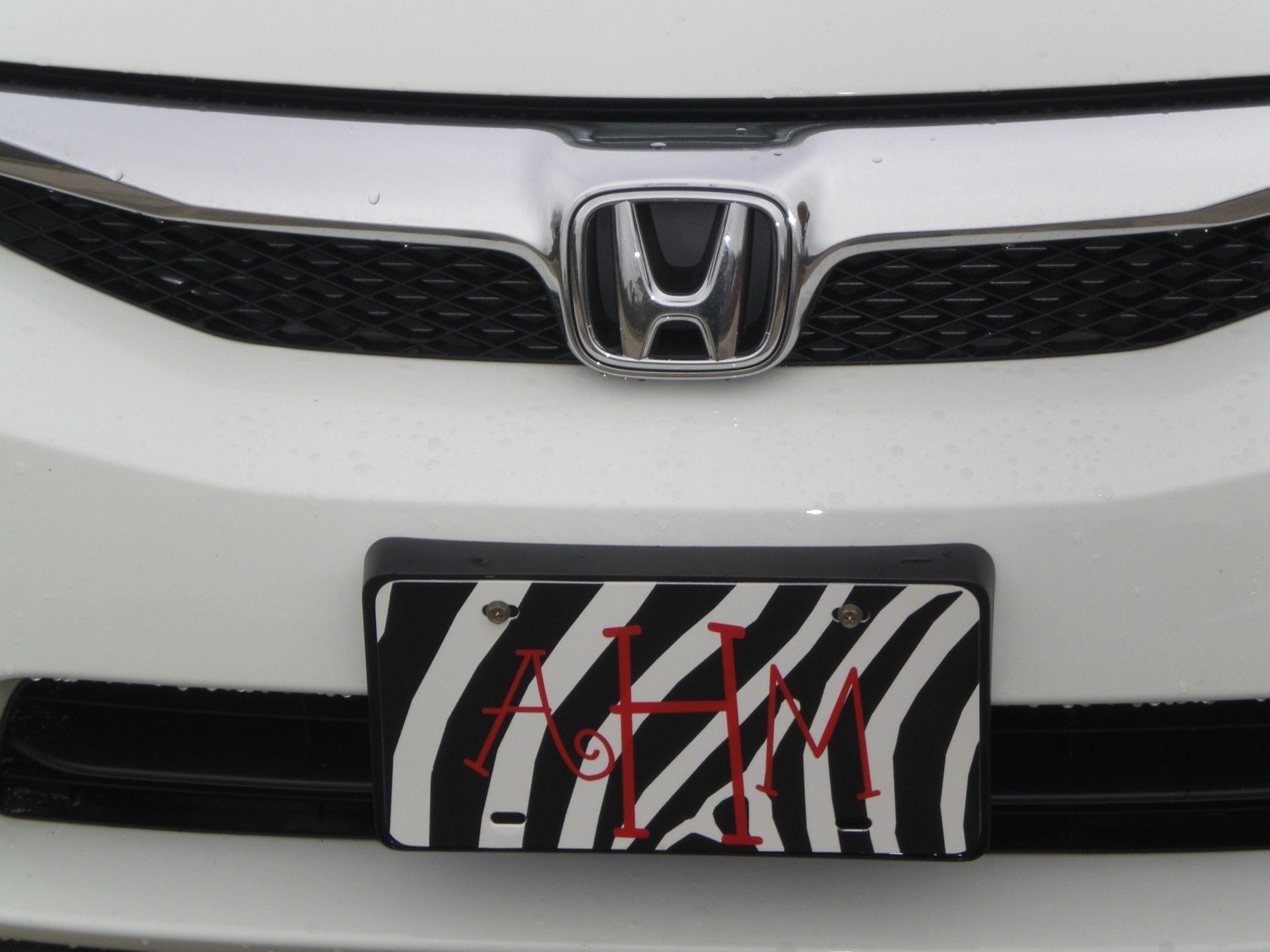 Monogrammed Zebra Print License Plate
