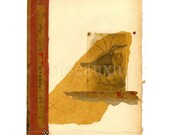 Winter 2 (Music) PRINT