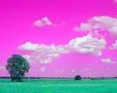 Lucid Landscape- 4x6 Print