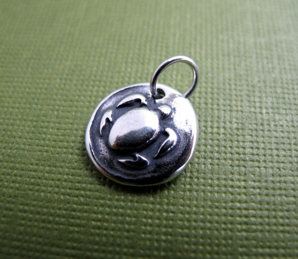 turtle mother sterling silver charm