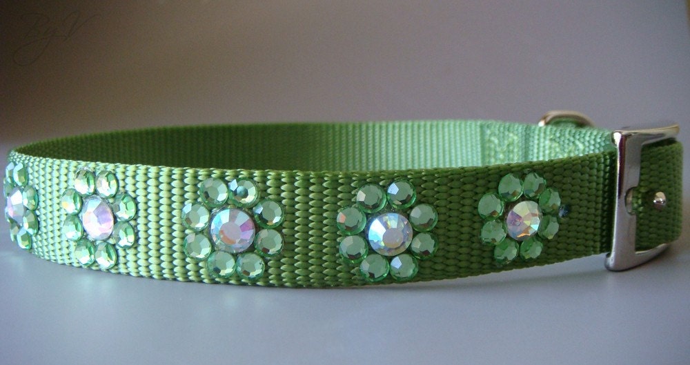 Couture Dog Collar-Green