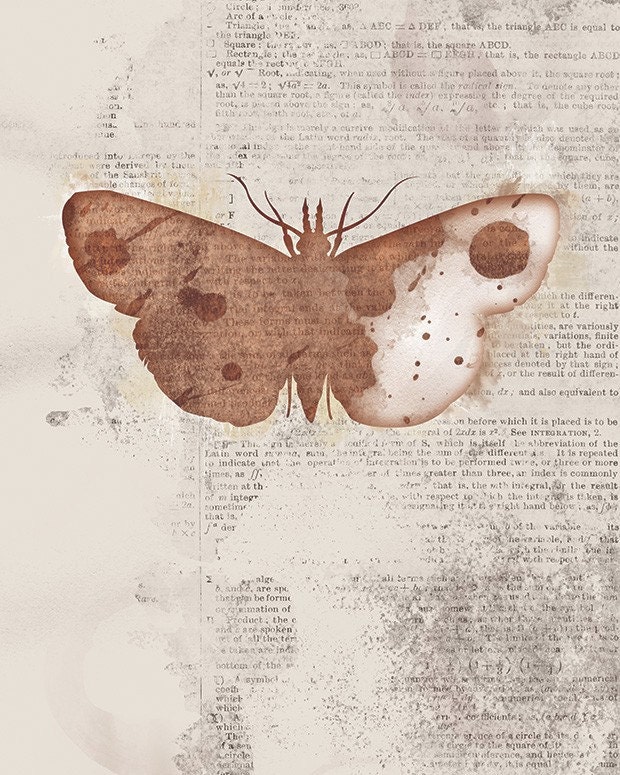 Moth Art - Leopold - Butterflies and Moths Series - 8x10 - rustic Collage Art - papermoth