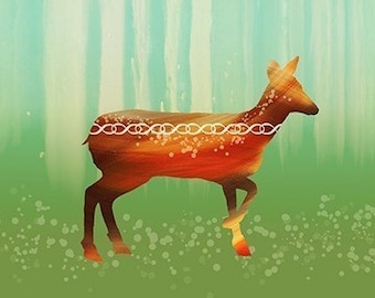Deer Art Print - Morning in the Forest - 12x18 - woodland modern art