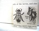 Queen Bee RECYCLEry Magnet Upcycled Eco Friendly