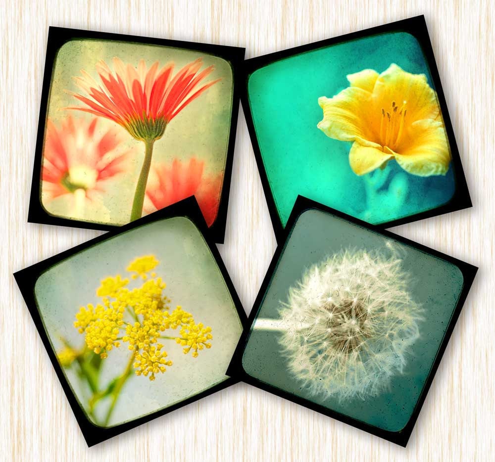 home decor flower photography nature prints garden prints pink green teal yellow Fine Art Photography Mini Flower Print Set 5 at 5x5