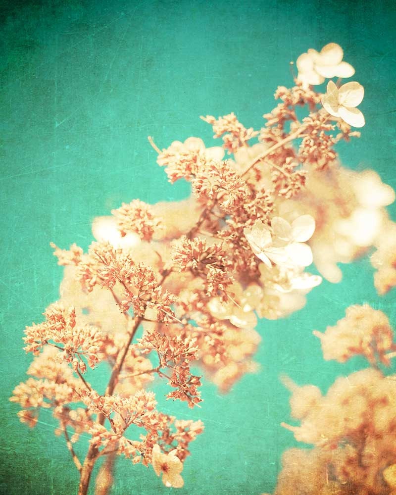 Flower photography, Nature print, Rustic decor, spring wedding shabby chic hydrangea print teal neutral print french country turquoise peach