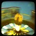 Carnival Photography, nursery decor, carnival wall art, dark blue, tilt a whirl, county fair midway fun - 8x8