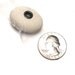 Riveted Beach Stone - Genuine Drilled Pebble - Lake Rock Wheel Donut Jewelry Bead - "Purity" by StoneMe