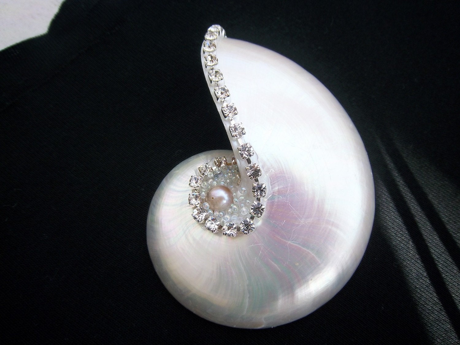4"-Genuine Swarovski Crystal-Embellished -Half Nautilus Shell