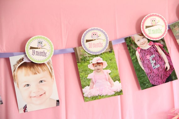 Owl Birthday Party Banner for Photos Year at a Glance Il_570xn