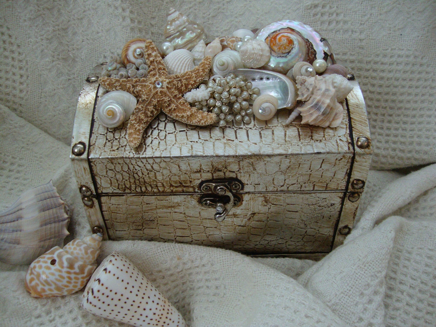 Treasure Box of the Sea