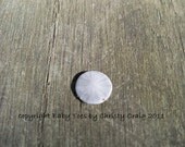 Baby Sand Dollar