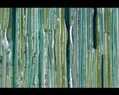 Transpire Wall or Window Hanging