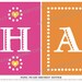 Fiesta Happy Birthday or Feliz Cumpleanos Banner that matches Papel Picado Invitation Personalized I design you print
