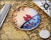 40 30mm Glass Domes Cabochon - 30GD