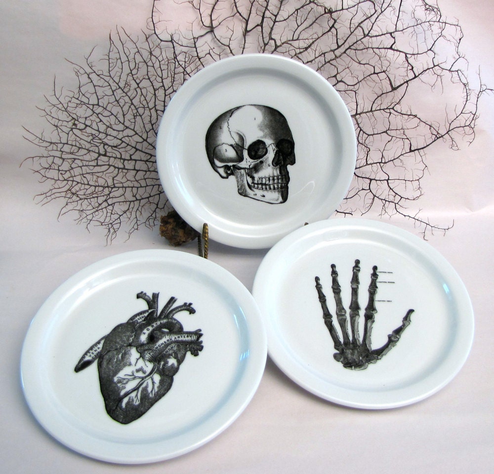 3 Anatomical Dishes Plates Skull, Skeleton Hand, Heart - Chase and Scout Austin Texas