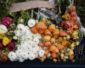 Paris Market No. 3454