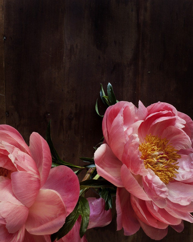 Botanical No. 5649