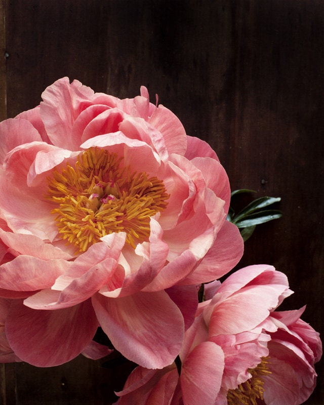 Botanical No. 5643