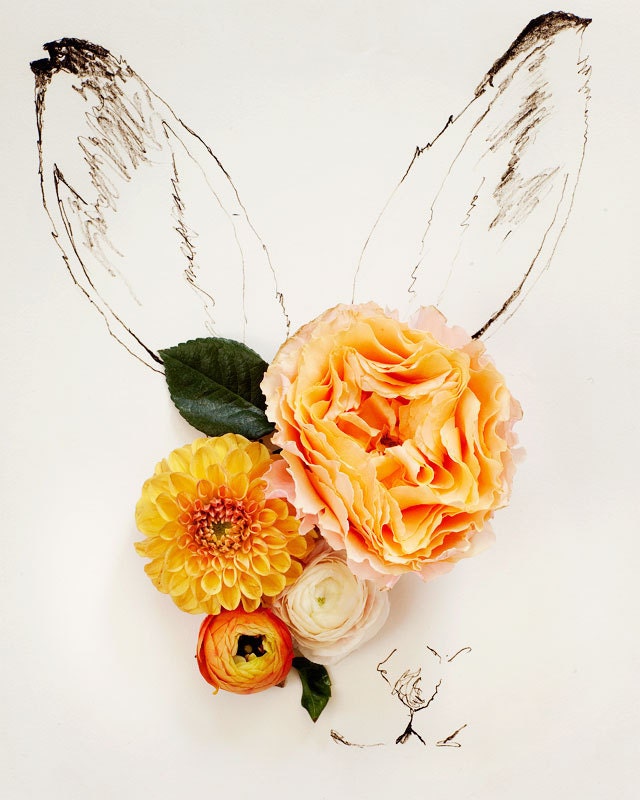 Rabbit No. 0041