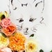 Fox and Flower No. 9894