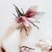 Magnolia Bug No. 4333
