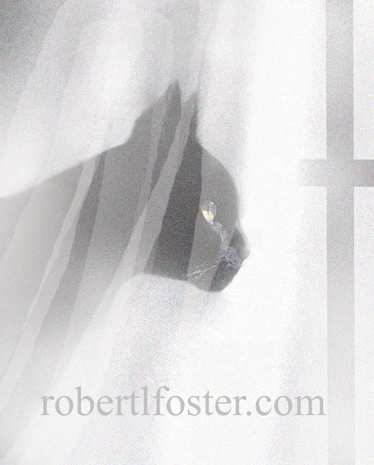 black cat art print WINDOW WATCHER black kitty curtain
