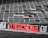 Memorial Day Sale I HEART U 8x12