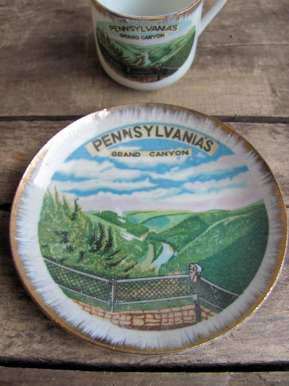vintage 1950s souvenir tea cup and saucer // Pennsylvania Grand Canyon