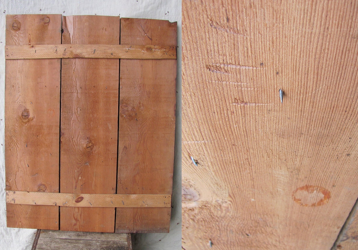 antique c. early 20th century Wood Study // natural history // folk art