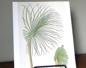 Vintage print book plate of a wild tropical fern like plant