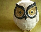 vintage owl bank