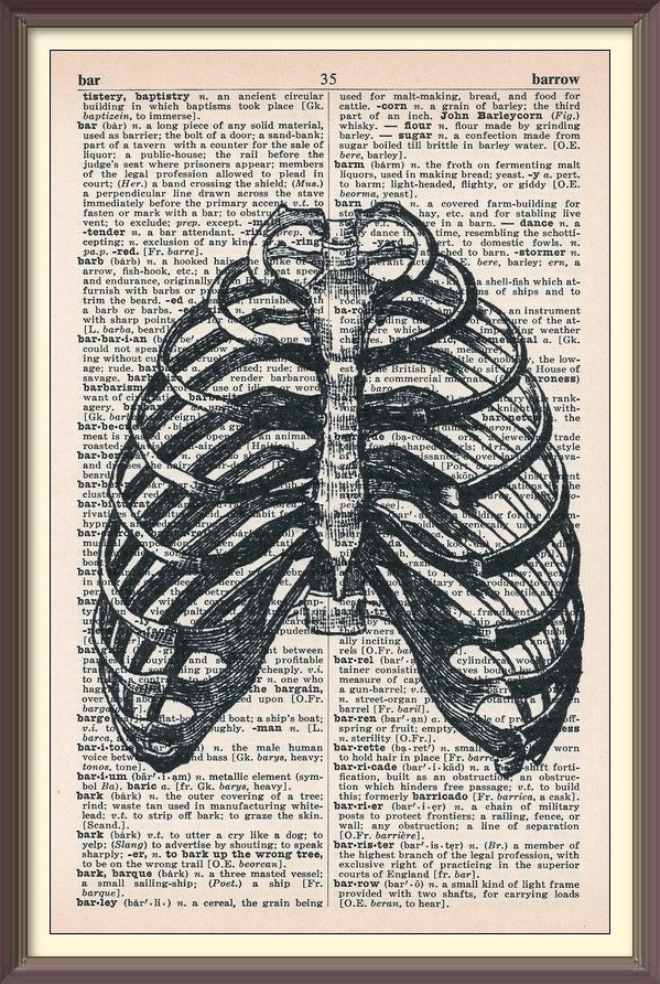 Anatomy Vintage