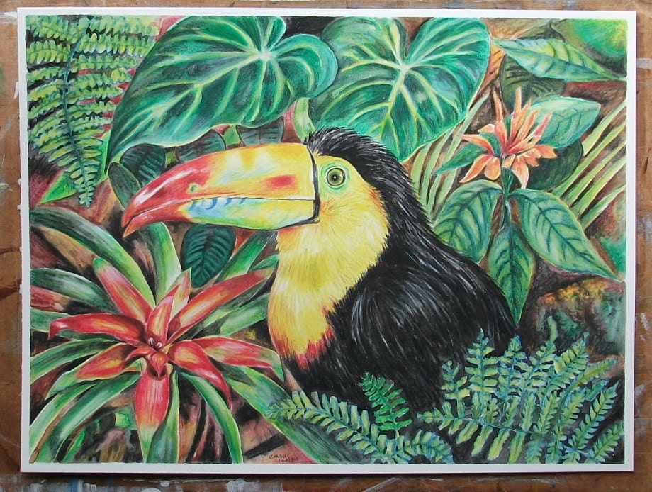 Toucan - Original Painting