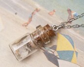 Necklace - Teeny Tiny Florida Seashell Collection in a Corked Bottle for Lovers of Tiny Things