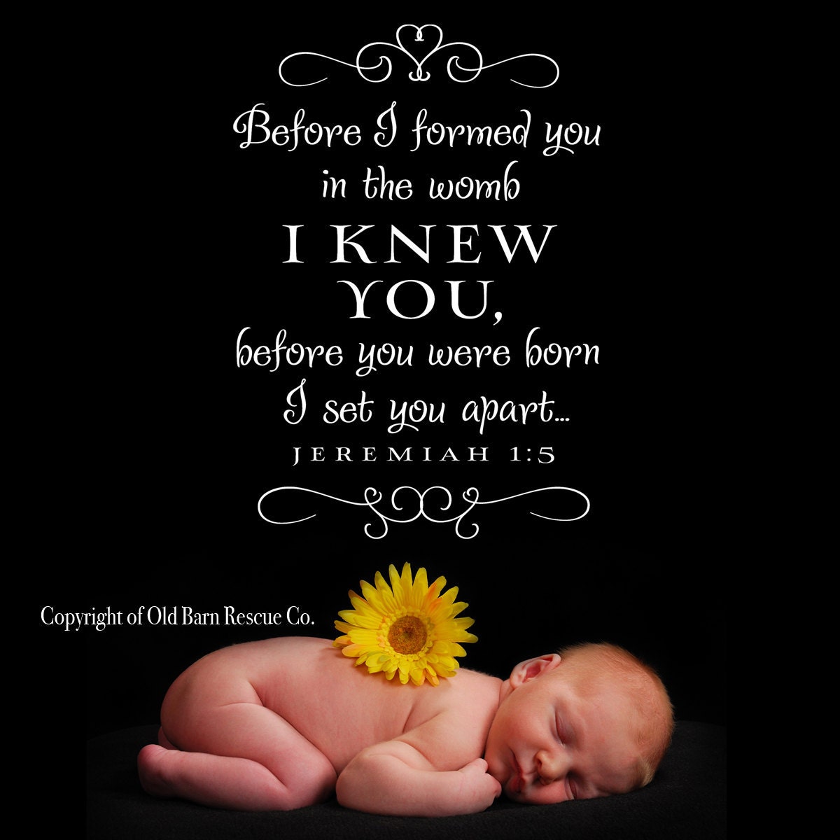Vinyl Lettering Decal - Before I formed you...Scripture verse nursery design