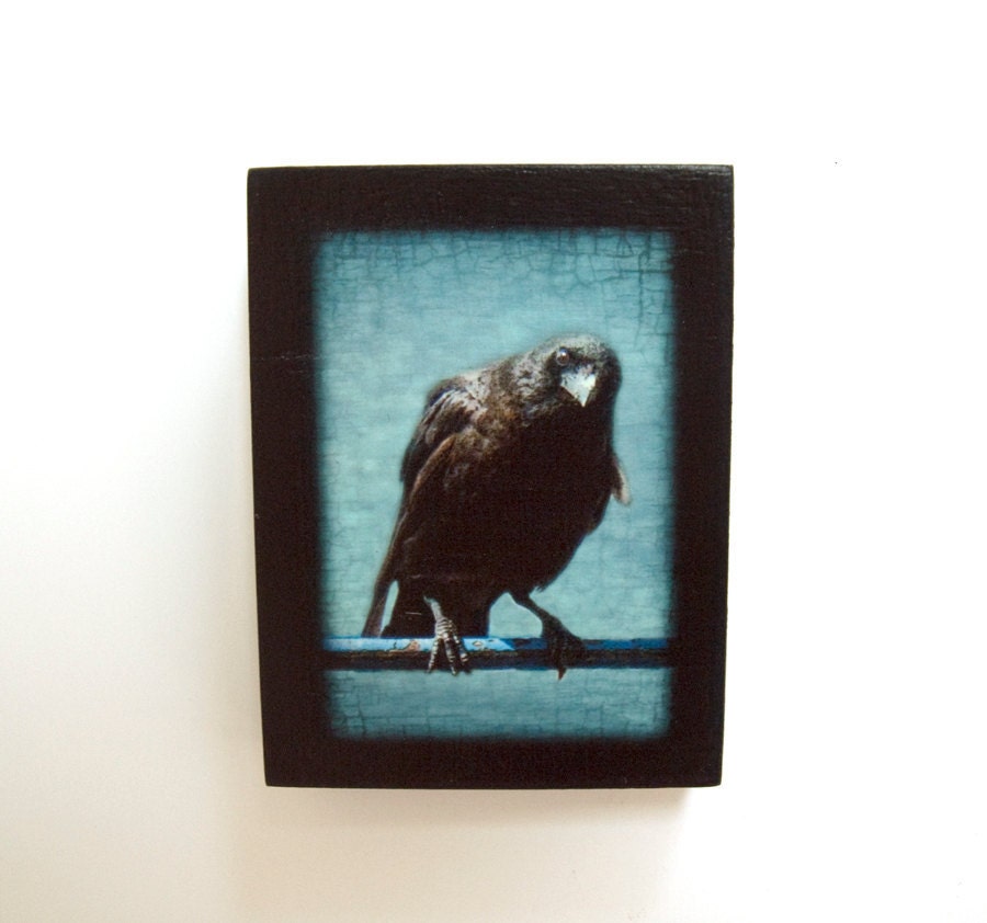 A Crow's Curious Look on Small Magnetic Wooden Panel