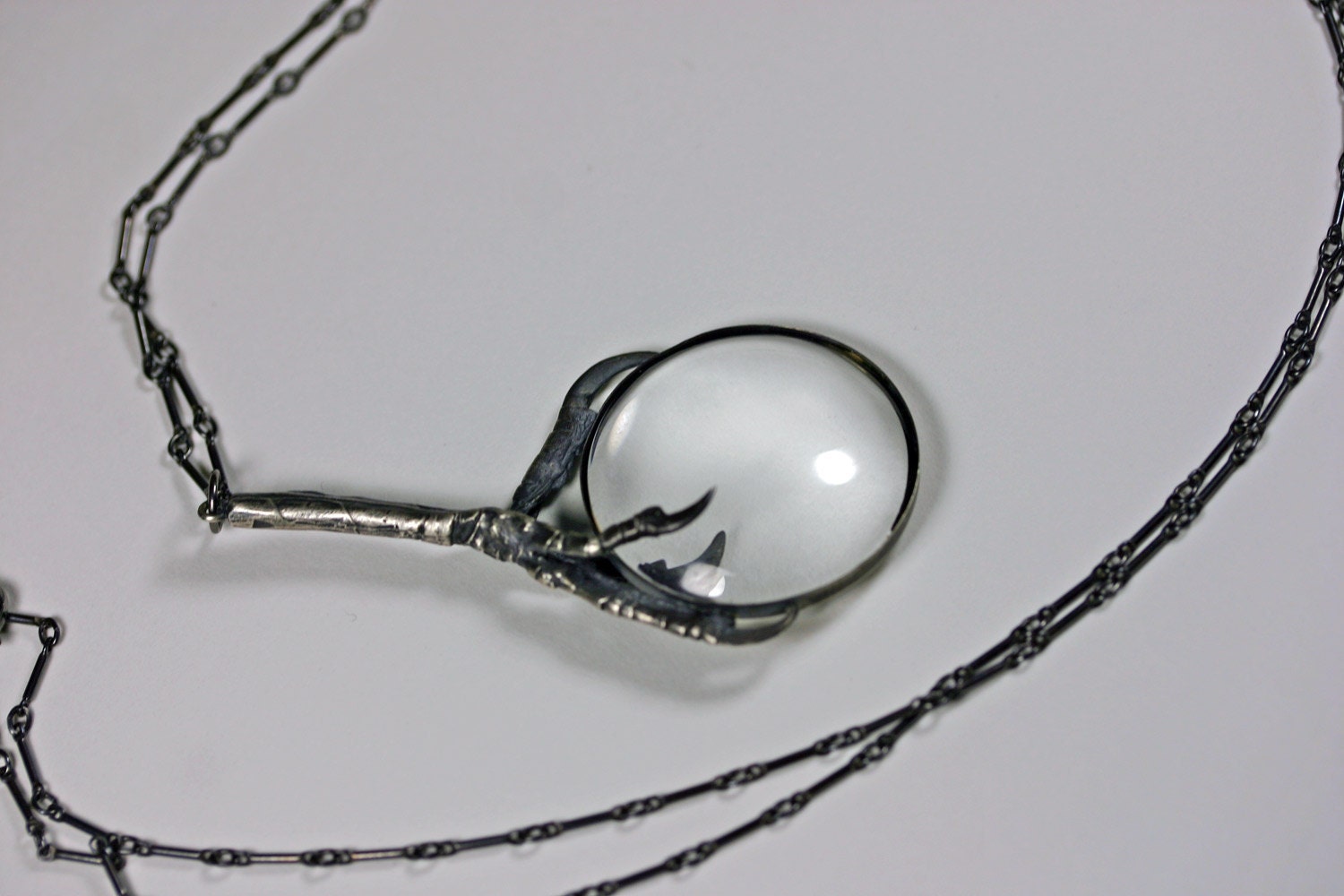 the oracle. magnifying glass and starling claw necklace.