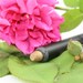 Fool's Gold Eye Shadow Stick - Vegan chubby Eye Crayon