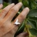 Flying Bird Custom Ring