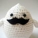 moustache bird movember