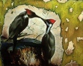 Kissing Woodpeckers - Pastel - 8x10 Print - By Jeffrey Richter